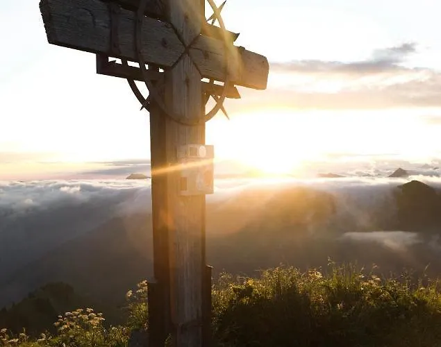 Bergoase Hohenegg * Lingenau